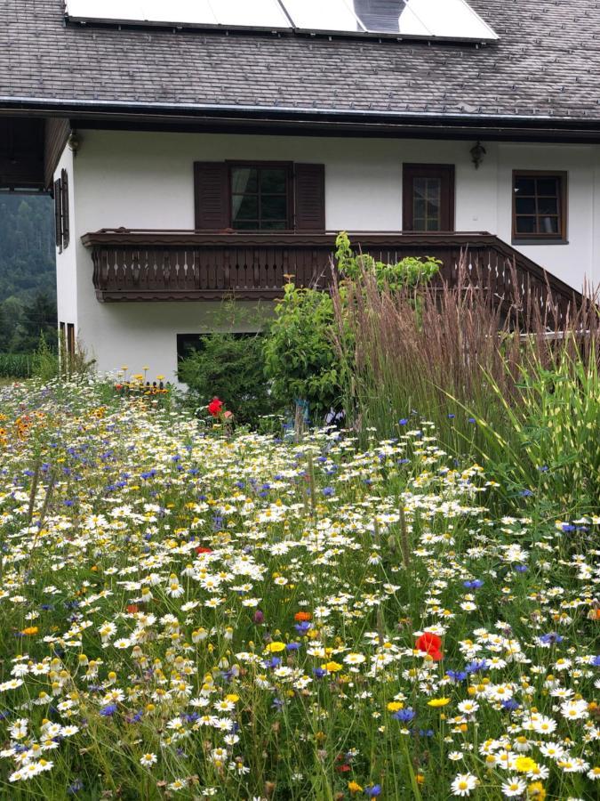 Ferienwohnung Lassendorf Hermagor-Pressegger See Exterior foto